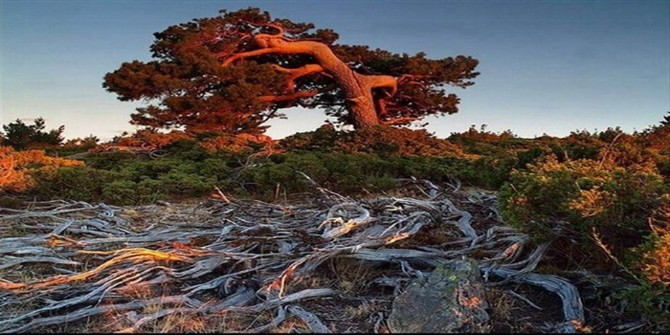 孤寡老人生命垂危 社工获悉及时救助“三亿体育官网”(图1) 三亿体育官网