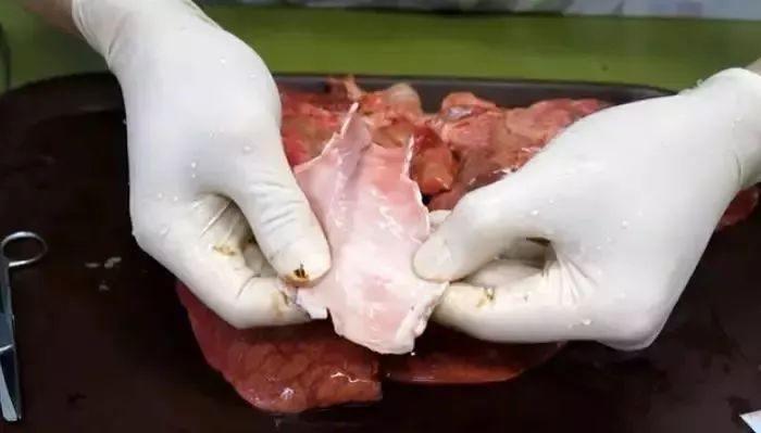 国家发展改革委:全面放开经营性电力用户发用电计划|三亿体育官网(图1) 三亿体育官网