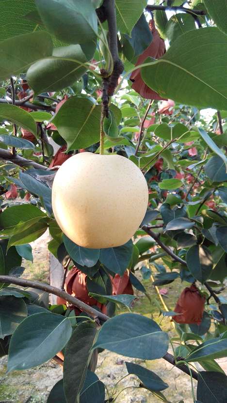 西湖社区:关爱孤寡老人九载-三亿体育手机版(图3) 三亿体育手机版