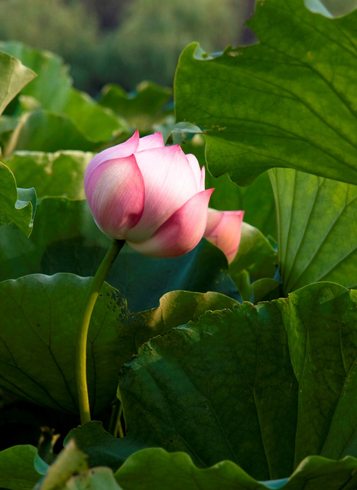 有色协会“不忘初心、牢记使命”主题教育第二讲暨有色大讲堂第三讲举办“三亿体育官网”(图2) 三亿体育手机版