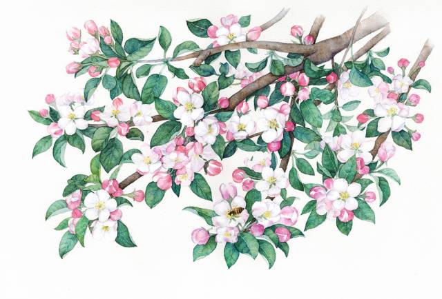 【三亿体育手机版】遵义铝业股份有限公司成立(图4) 三亿体育官网